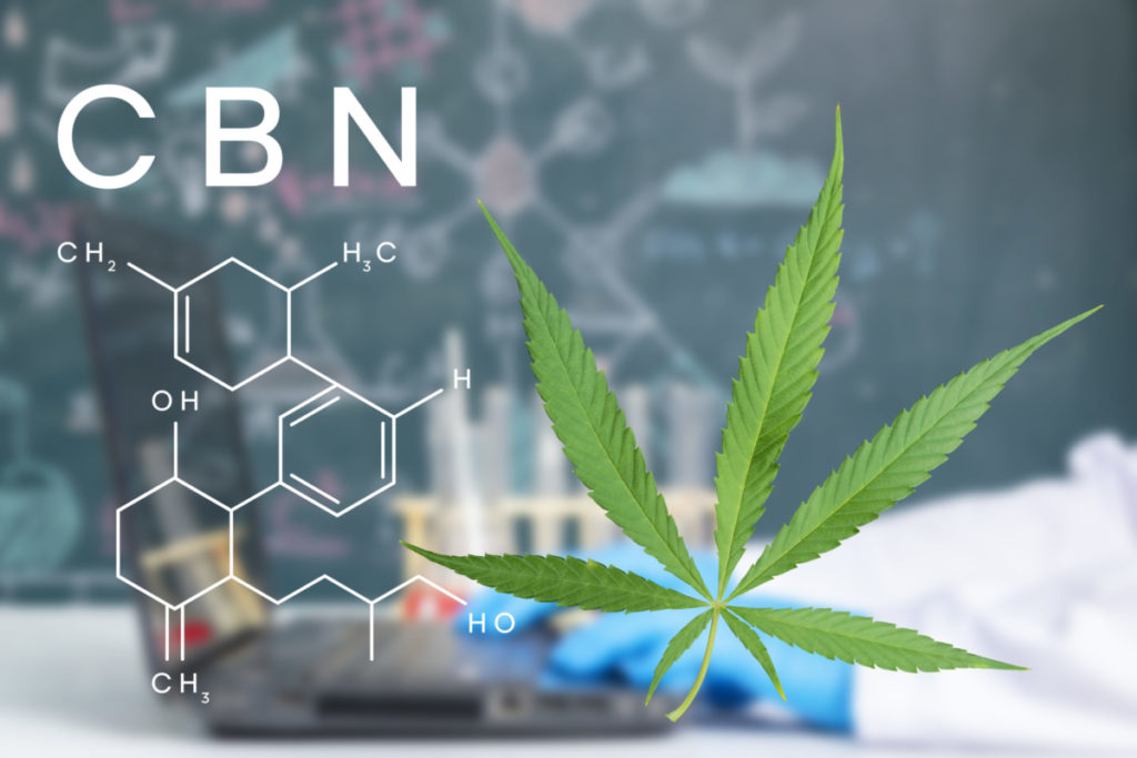 CBN Oil (Cannabinol)