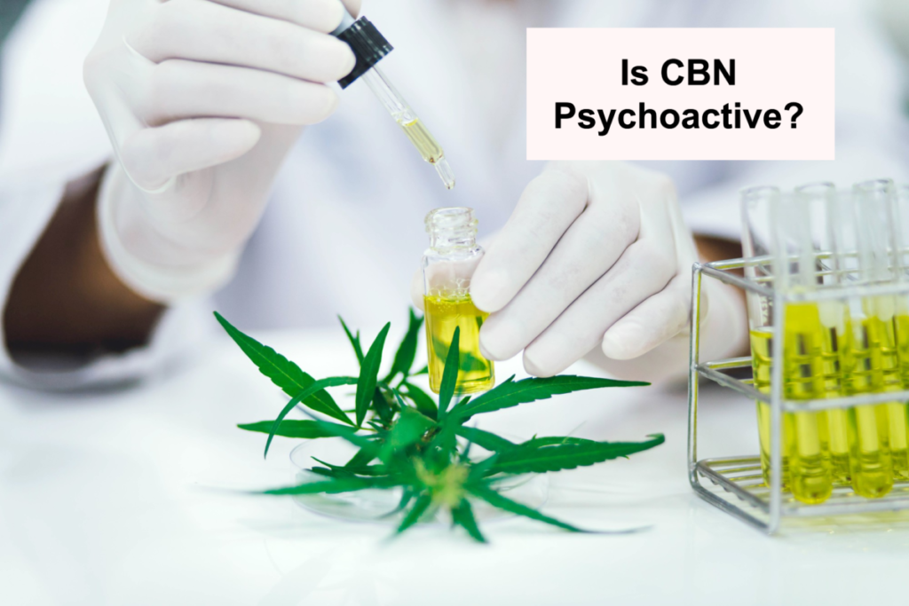 Is CBN Psychoactive?
