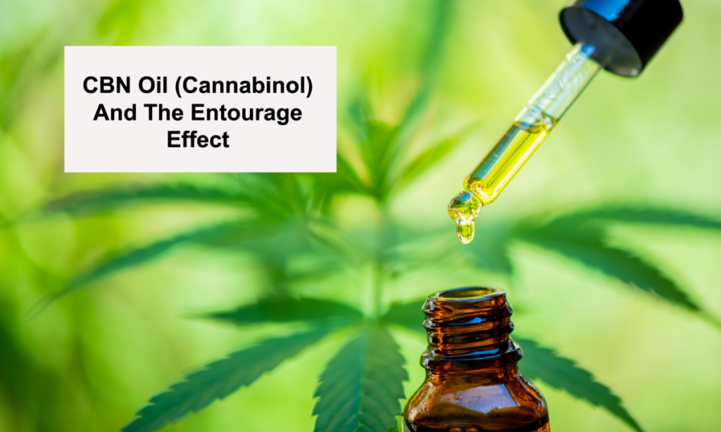 CBN Oil (Cannabinol) And The Entourage Effect